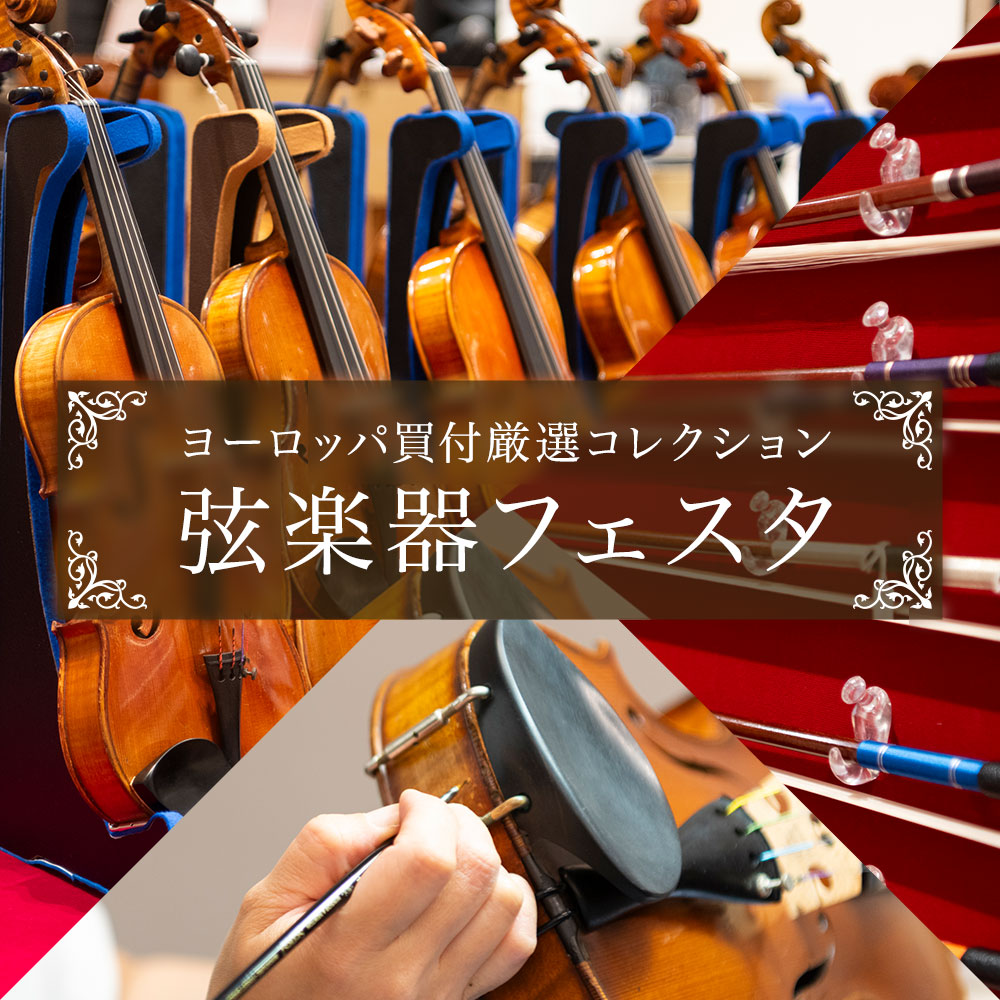 弦楽器】優雅な音色にうっとり！初めてさんにおすすめバイオリン特集