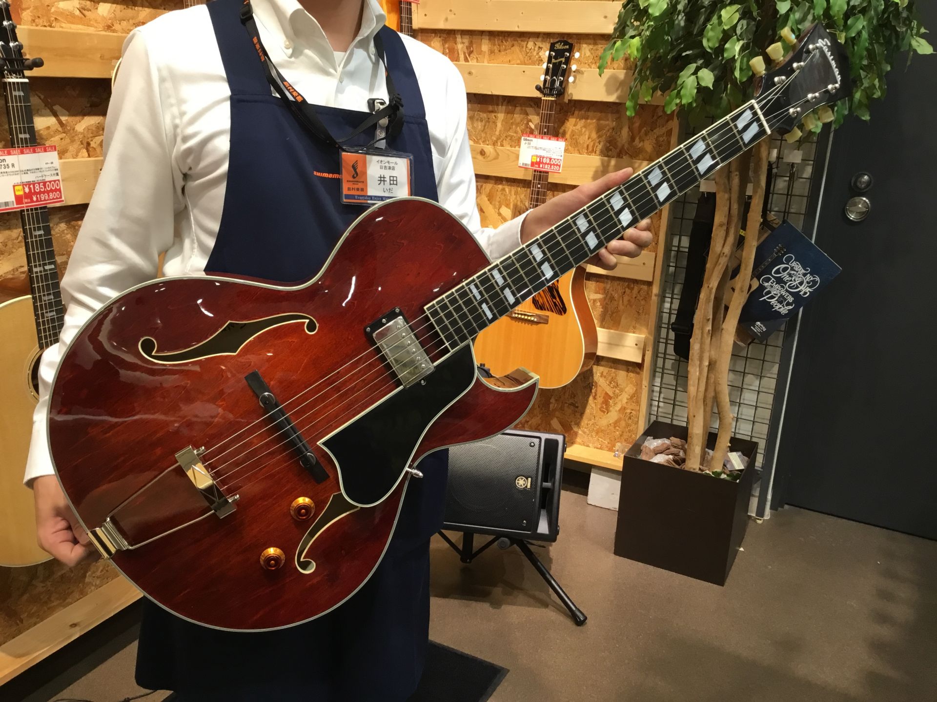 【エレキギター】EASTMAN/AR-175CE入荷しました！