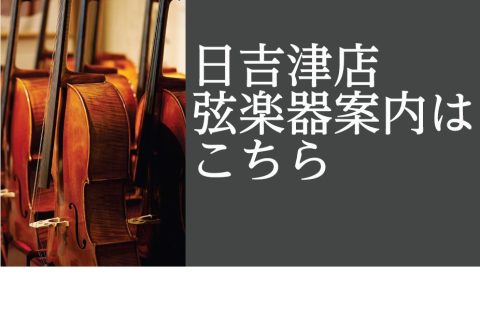 日吉津店で展示品している弦楽器の紹介です。
