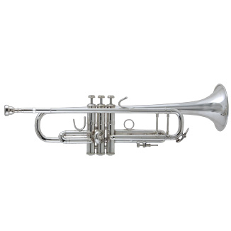BACHVINCENT MODEL