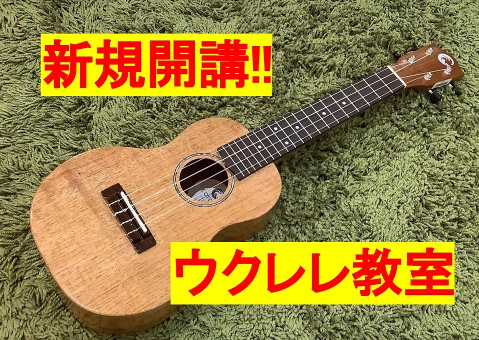 7月よりウクレレ教室を新規開講致します!