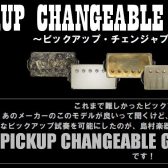 ギターピックアップを手軽に交換！Pickup Changeable Guitar System！