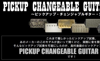 ギターピックアップを手軽に交換！Pickup Changeable Guitar System！