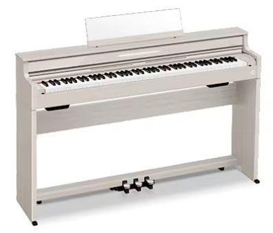 CASIOAP-S5000GP GB