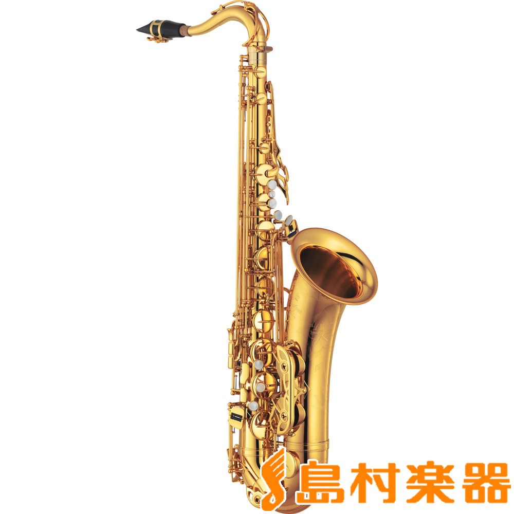 YAMAHAYTS-875EX