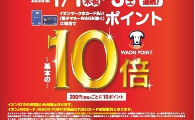 【2026年初売り】イオンカード&AEON PayでWAON POINT大還元!最大11倍キャンペーン