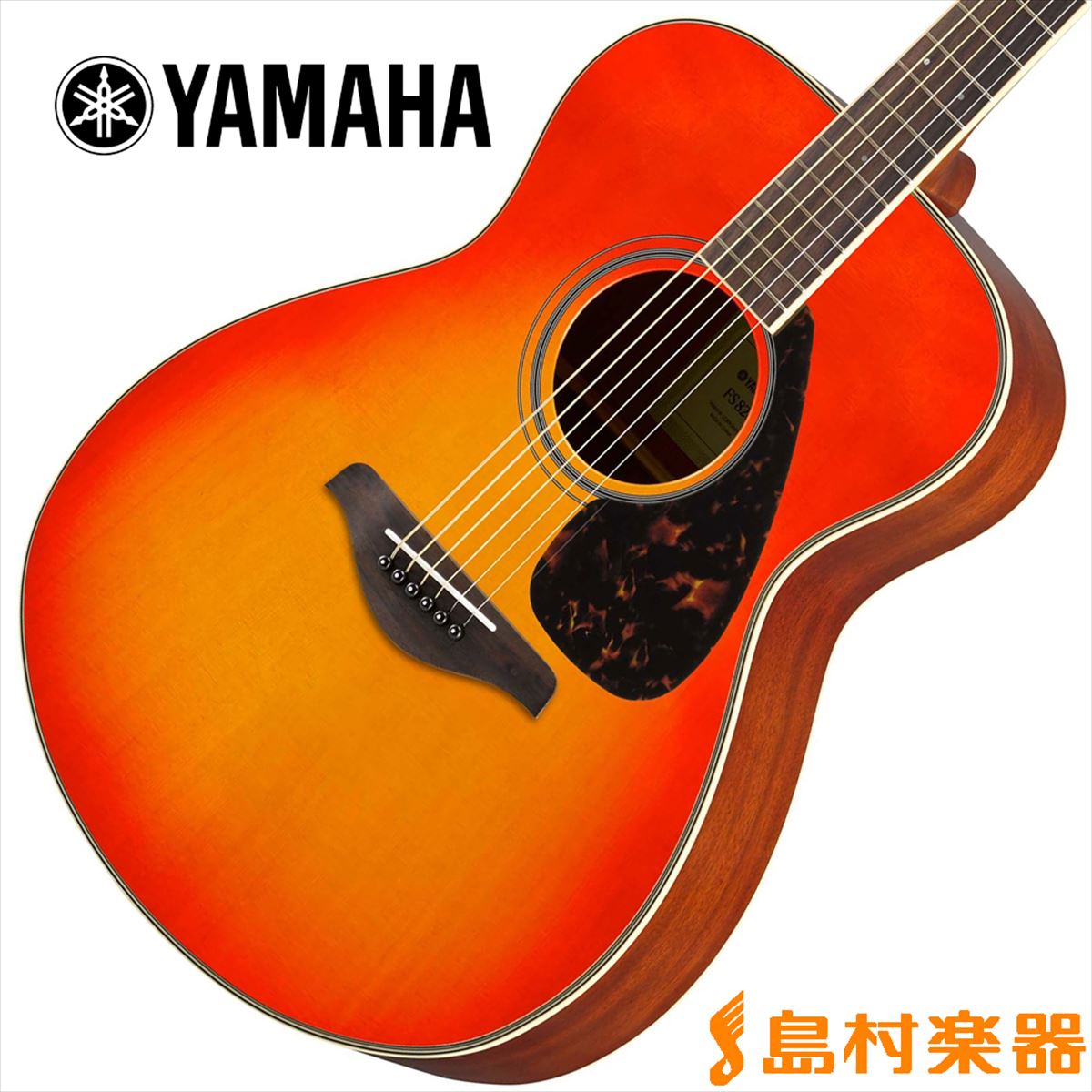 入門ギター定番の一本！YAMAHA FS820　AB