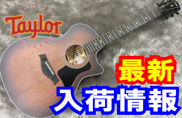 *324ce Blackwood V-Class |*ブランド|Taylor| |*型番|324ce Blackwood V-Class| |*商品の状態|新品| |*販売価格|[!￥300,672(税込)!]| |*メーカー希望小売価格|￥375,840(税込)| |*ボディタイプ|エレアコギター […]