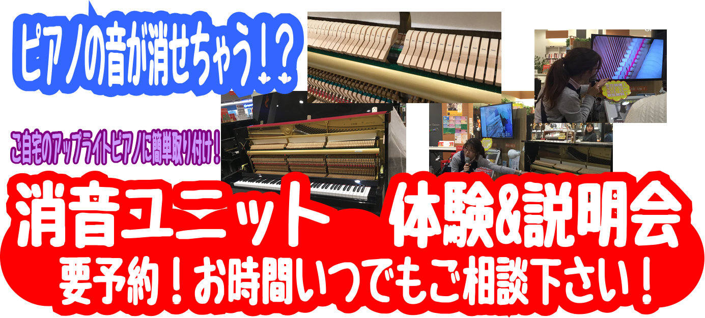 ピアノ総合ページ アップライト買うなら島村楽器日の出店へ イオンモール日の出店 店舗情報 島村楽器 ピアノ総合ページ アップライト買うなら島村楽器日の出店へ イオンモール日の出店 店舗情報 島村楽器