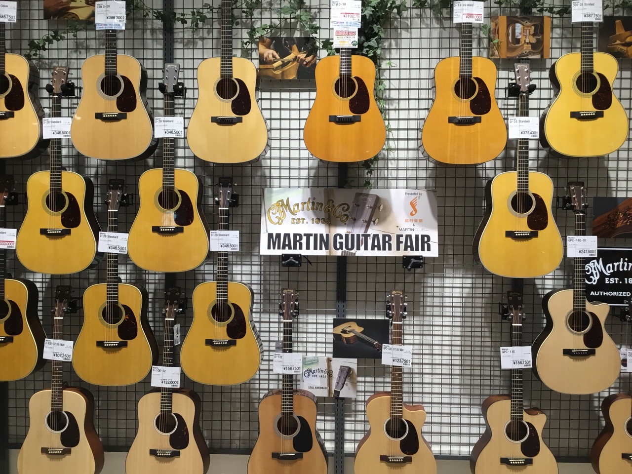 Martin Guitar Fair開催！！【イオンモール日の出リニューアルオープン企画】