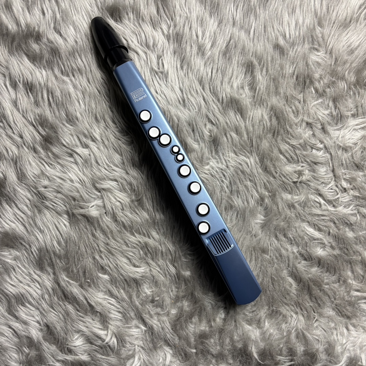 RolandAE-01 Aerophone mini