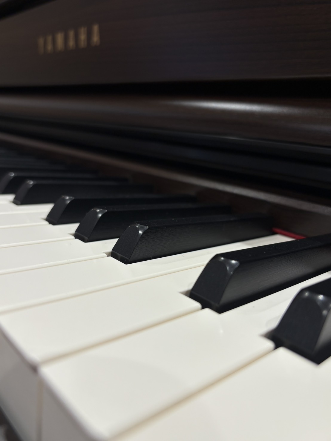 2/14(土)、イオンモール日の出店1階 メインコートにて「YAMAHA電子ピアノ展示会」を開催致します！ YAMAHAの電子ピアノが一挙に大集結！実物を見て、弾き比べができます。 同日はイベントも目白押し！東京都・埼玉県・神奈川県・山梨県など近隣で電子ピアノをお探しの方、是非島村楽器日の出店へ！  [&hellip;]