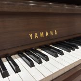 当日の予約変更もOK！自分のペースで楽しむ大人の予約制ピアノ教室 | イオンモール日の出店