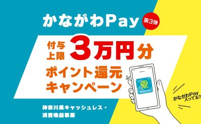 【かながわPay第3弾】ポイント付与終了！かながわPayでたまったポイントは11/30(木)まで使えます。