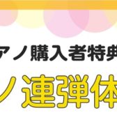 【アフターサポート】ご購入者様限定　ピアノ連弾会