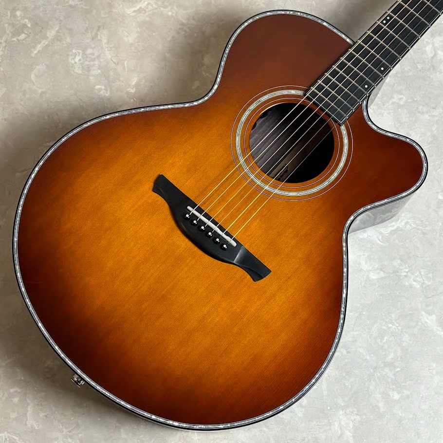 アコースティックギターNT-301Ca【国産】