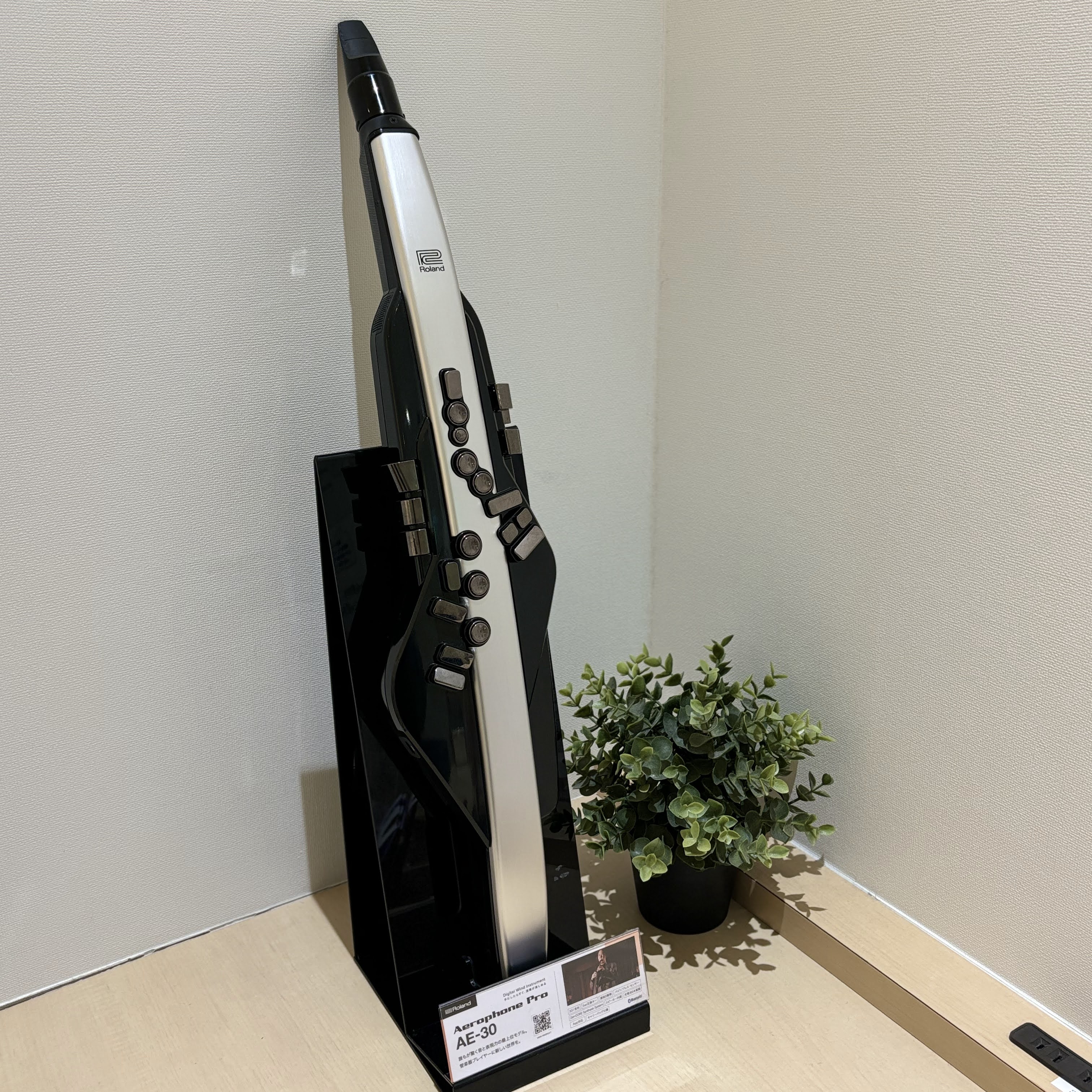 エアロフォンAE-30