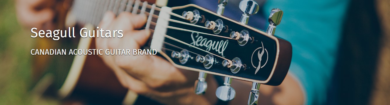 Seagull Guitarから森林資源の豊富なカナダ国内の木材を使用してハンド 