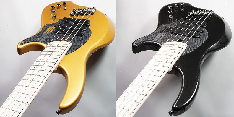 大人気Dingwallからベースが入荷！！