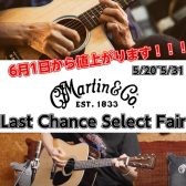 【5/20日～31日】値上がり前のMartin Last Chance Select Fair開催！！