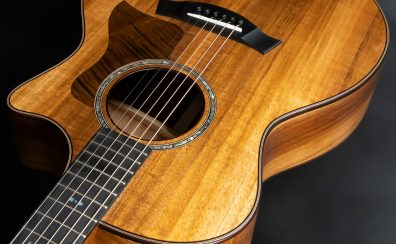 【アコースティックギター】Taylorからバランスと汎用性に優れたオールラウンダー、724ce V-Class入荷！！