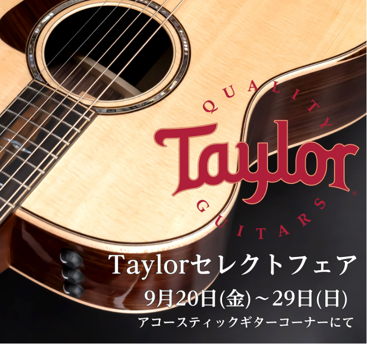 エレアコ世界シェアNo.1のUSAアコギブランドであるTaylorギターを担当者が厳選。ぜひこの機会にお試しください! Taylor お問い合わせ