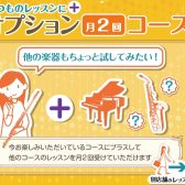 【2025年最新版】サロン会員様限定！オプション月2回コースのご案内〈大人のための音楽教室〉