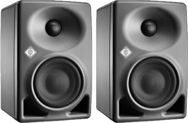 NEUMANNKH 80 DSP A G(ペア)
