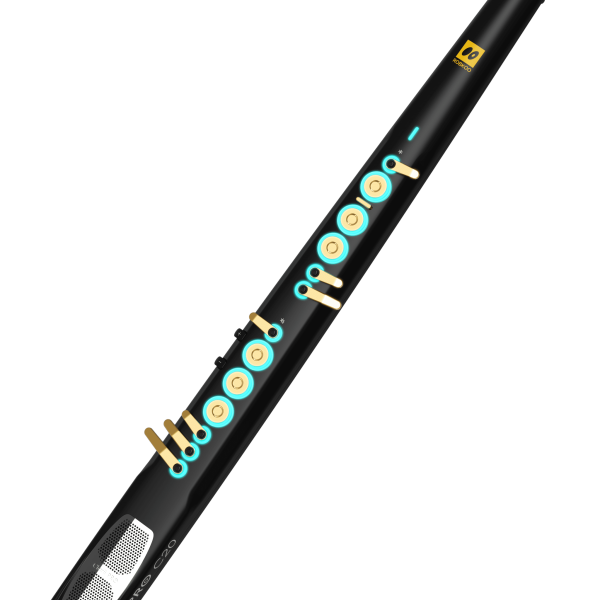 Robkoo Clarii Pro C20<br />
話題の新製品です。EWIのようなタッチセンサーとオクターブローラーによる操作が特徴です。<br />
内臓音源に即戦力として使えるものが充実しており、出力の大きなスピーカーも備わっているため、電源さえ入れればすぐに必要十分な演奏が始められます。