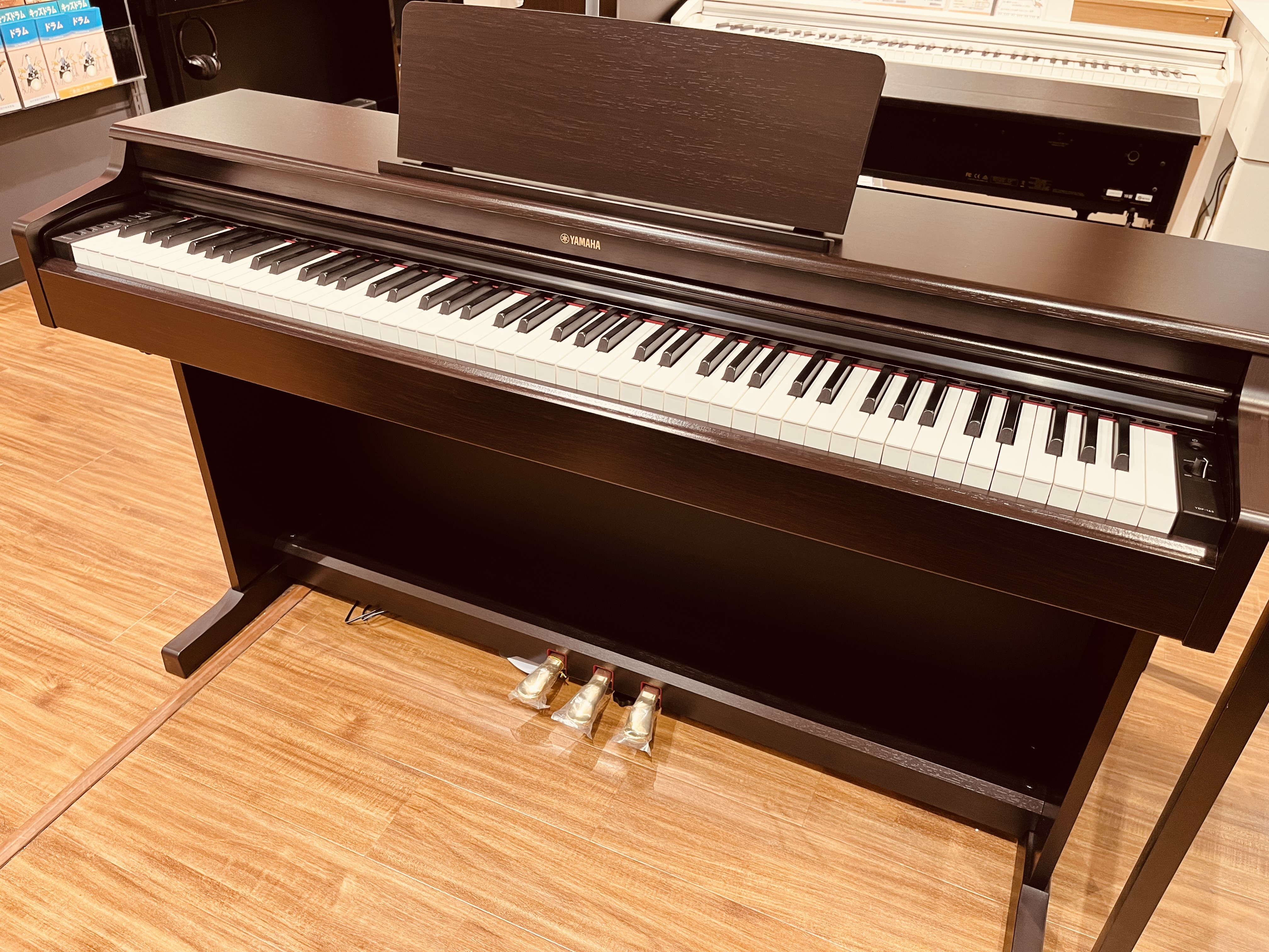 【NEW】YAMAHA/ARIUSYDP-165