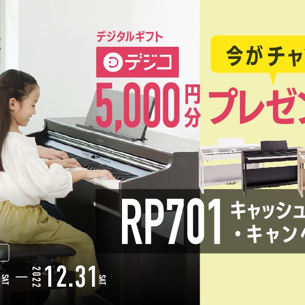 【10/8~12/31】RP701ご購入者様限定！電子マネーキャッシュバックキャンペーン