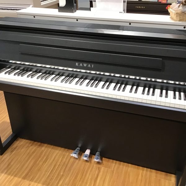CA9900GP（CA99）