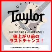 【7月1日より価格改定】Taylor（テイラー）値上がり前のラストチャンス！〜広島府中店