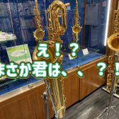 管楽器担当の音楽通信　Vol.20　まさか君は？！