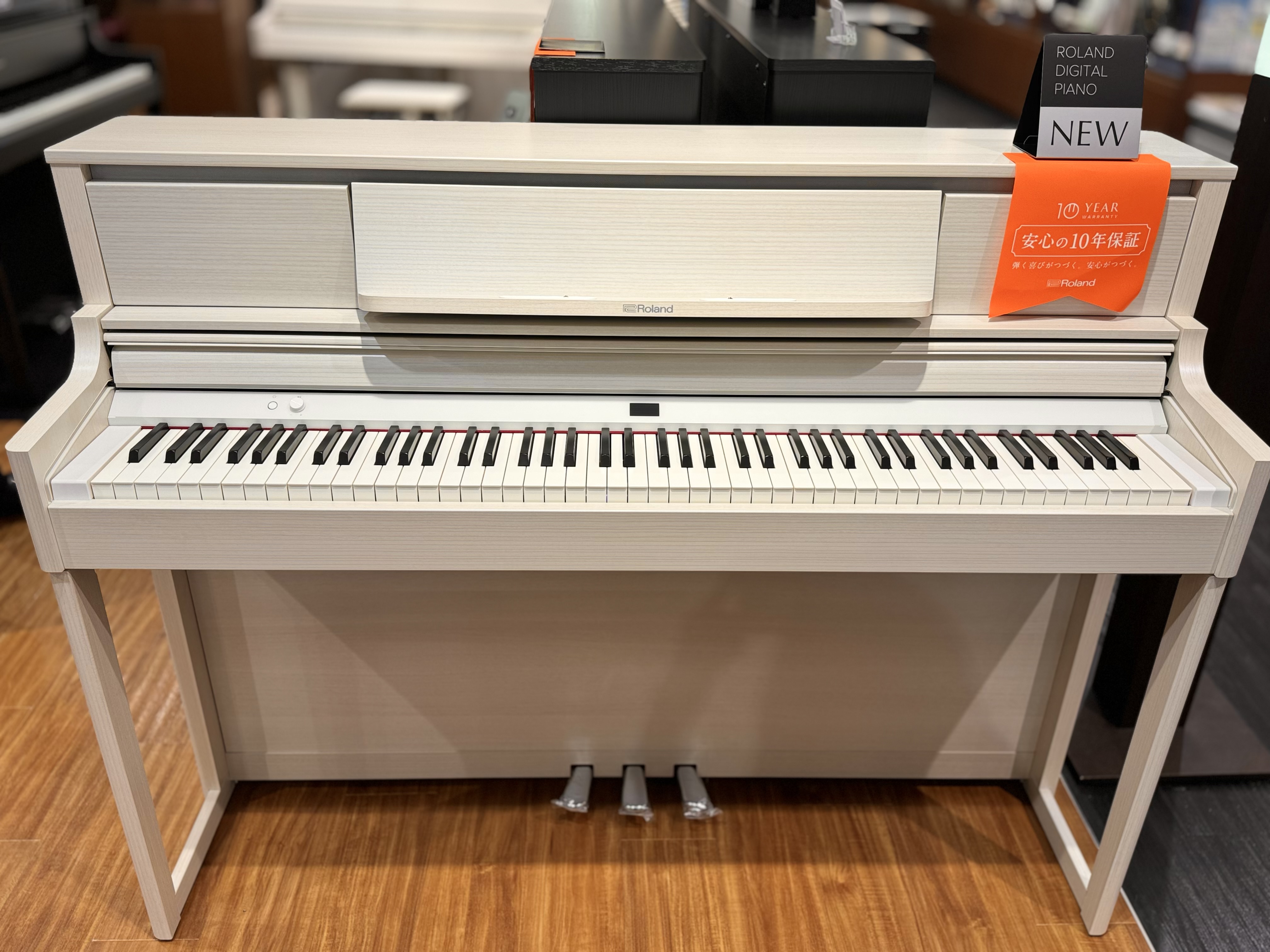 RolandLX5GP(LX5)