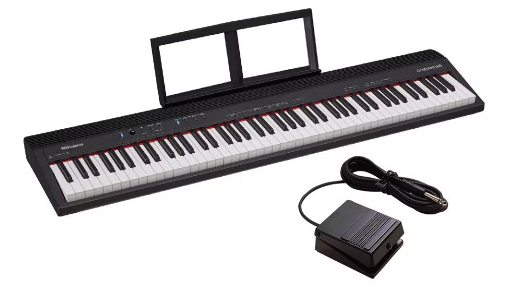 RolandGO-88P