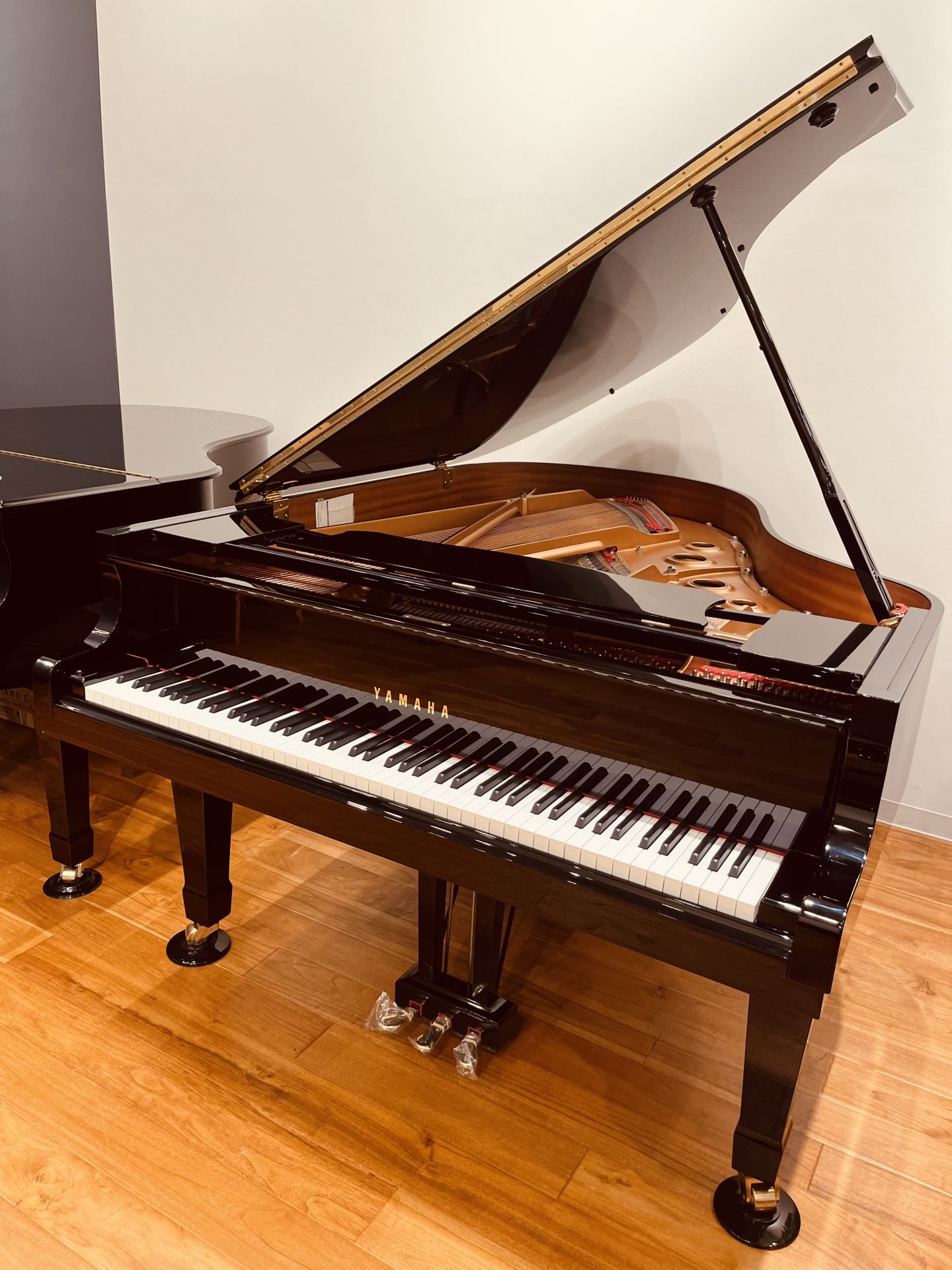 YAMAHAC3L