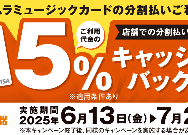 36回まで分割金利手数料無料&イオンカードポイント企画など、お得にご購入いただけます！
