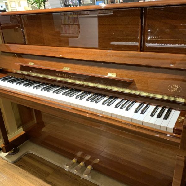 PRAMBERGER/PV118WNP<br />
￥750,000（税込）