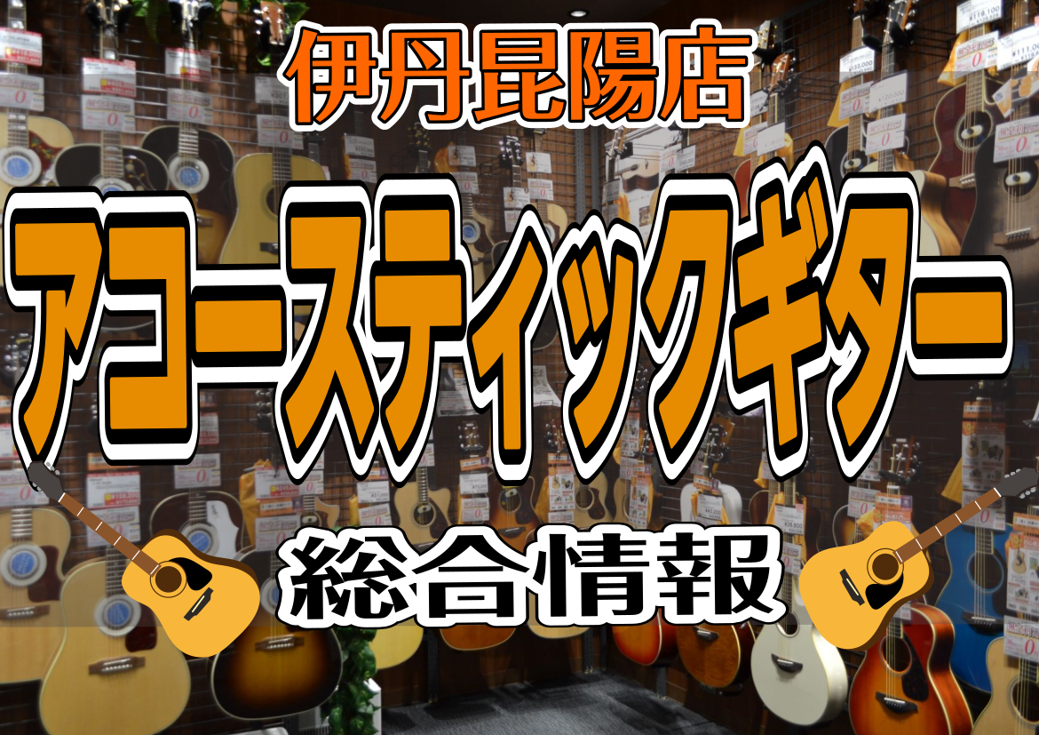 【アコースティックギター総合情報】70本以上展示！～兵庫/伊丹/尼崎/宝塚/豊中～