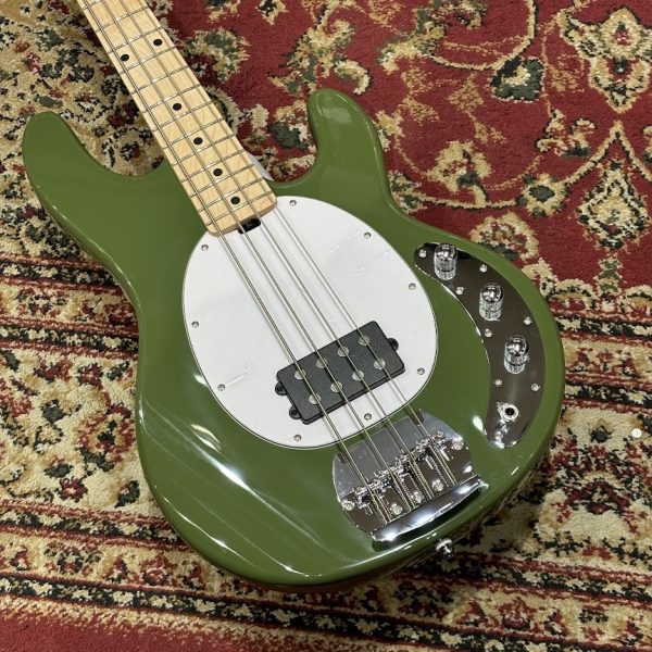 Sterling by MUSIC MAN RAY4 Olive Gloss <br />
￥59,950(税込)