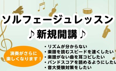 【大人のための音楽教室】ソルフェージュサロン1ヶ月お試しレッスン《伊丹市・宝塚市・川西市・尼崎市・豊中市》