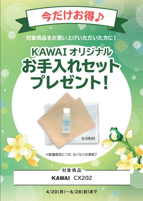 KAWAICX202