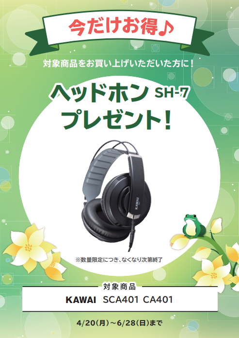 KAWAISCA401・CA401