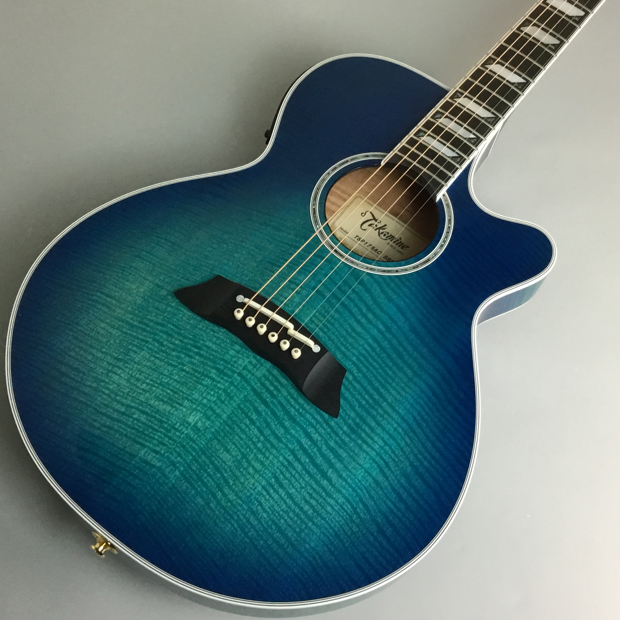 Takamine (タカミネ)TSP178AC/SBB入荷しました！