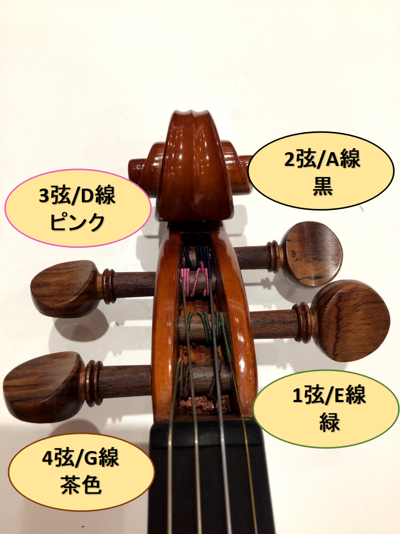 楽天市場 バイオリン弦 鈴木バイオリン 3D弦