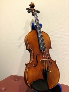 VIOLA15.5