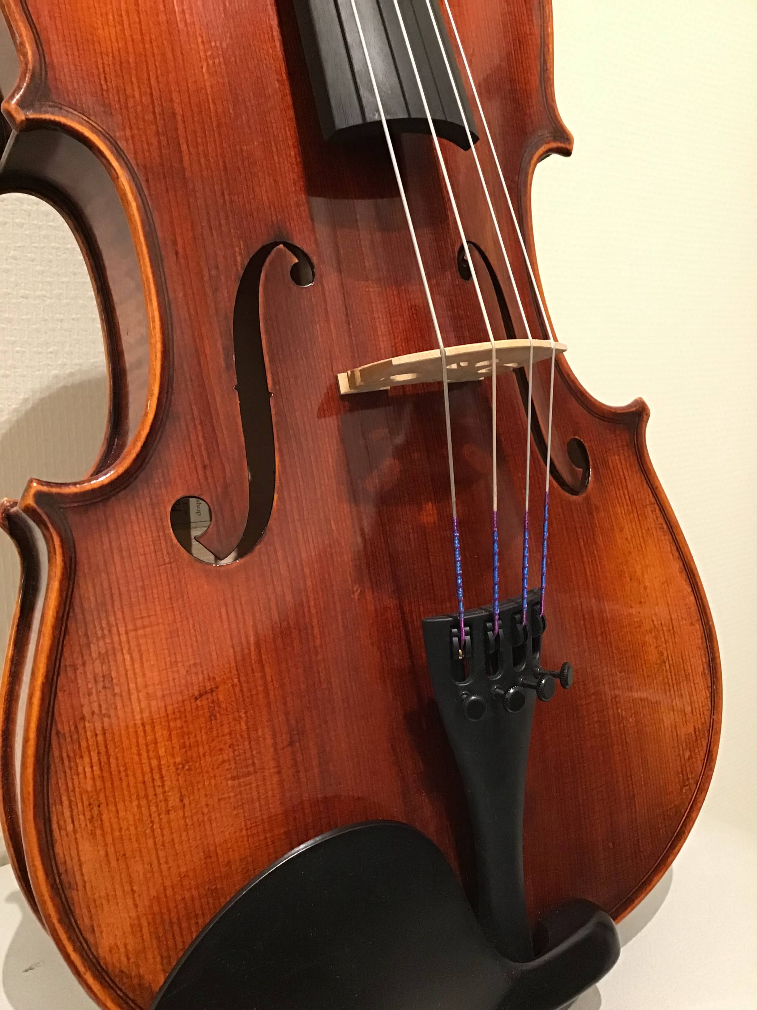 ビオラセットEastman(イーストマン)/VA401特別セット