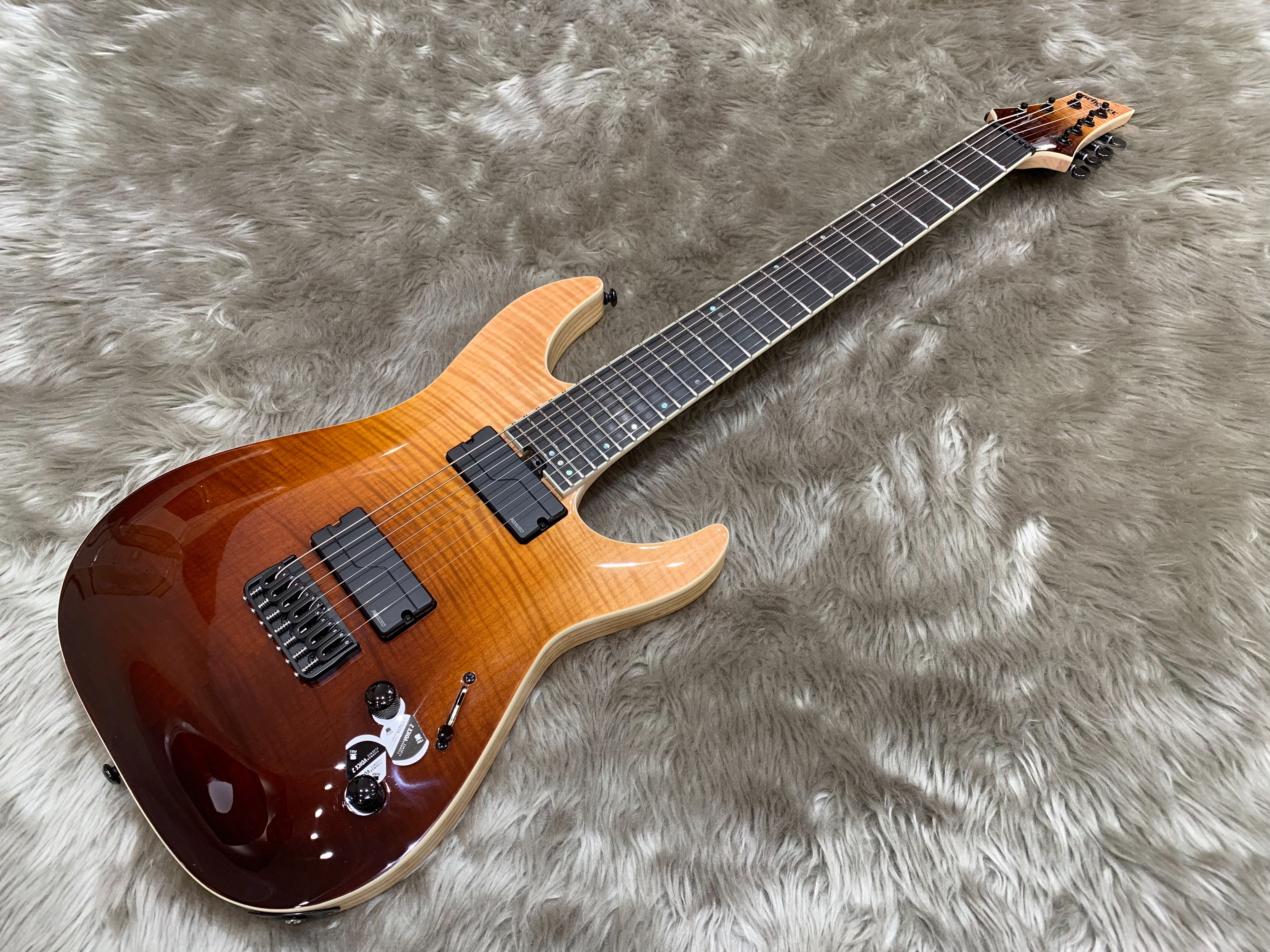 エレキギター】SCHECTER GUITAR RESEARCH フェア開催！【随時更新中 9