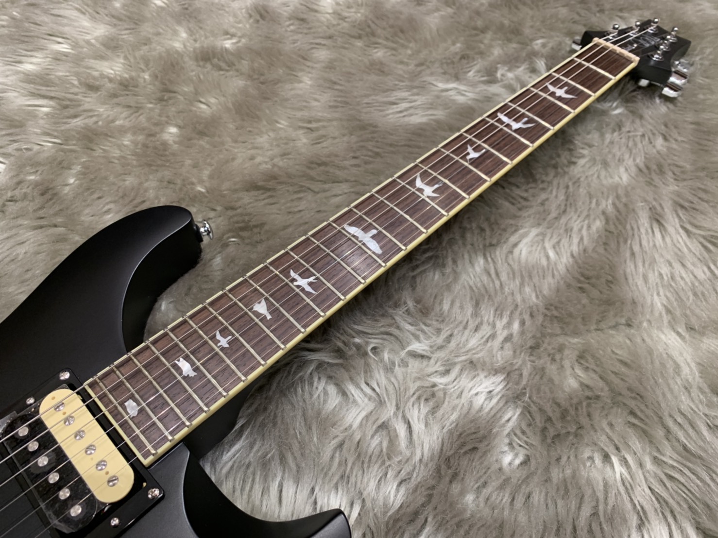 PRS SE STD24 SATIN BLACK 島村楽器限定モデル